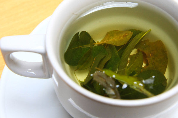 Maté de Coca & Yerba Maté : Fin de la confusion