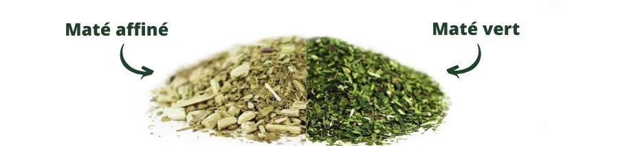 Maté affiné jaunatre vs maté vert
